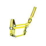 Woof Wear Contour Head Collar Sunshine Yellow Pony Headcollars