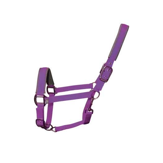Woof Wear Contour Head Collar Ultra Violet Pony Headcollars