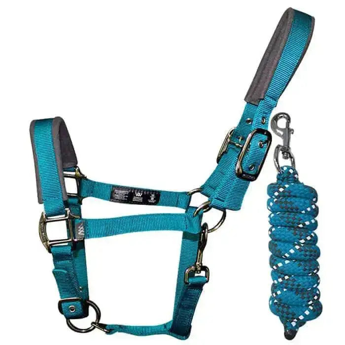 Woof Wear Head Collar & Lead Rope Sets Yellow Full Headcollars & Leadropes Barnstaple Equestrian Supplies