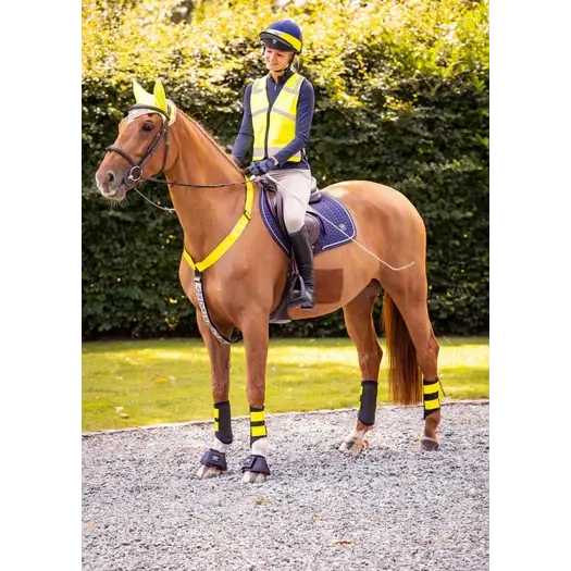 Woof Wear Hi Vis Riding Vest Hi Viz Orange Junior Small / Junior Medium Hi-Vis