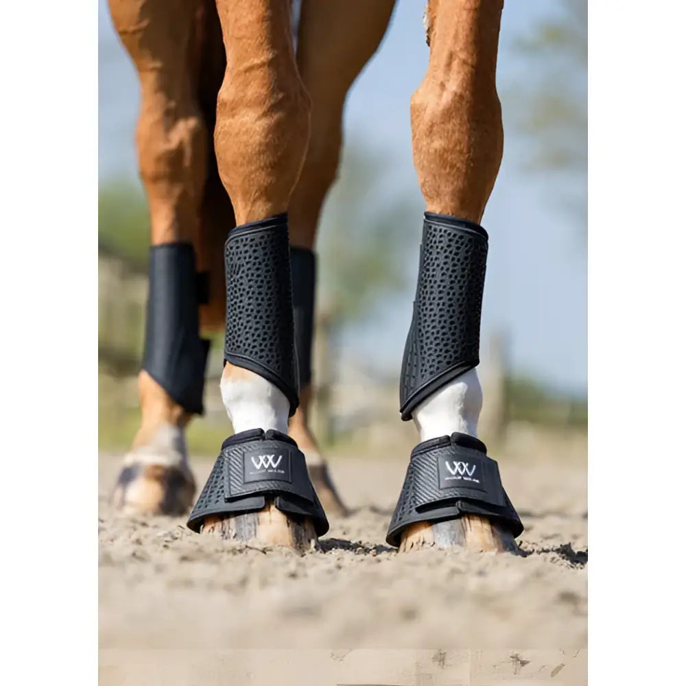 Black perforated woof wear ivent hybrid boot with breathable mesh and front branded logo for horse leg protection