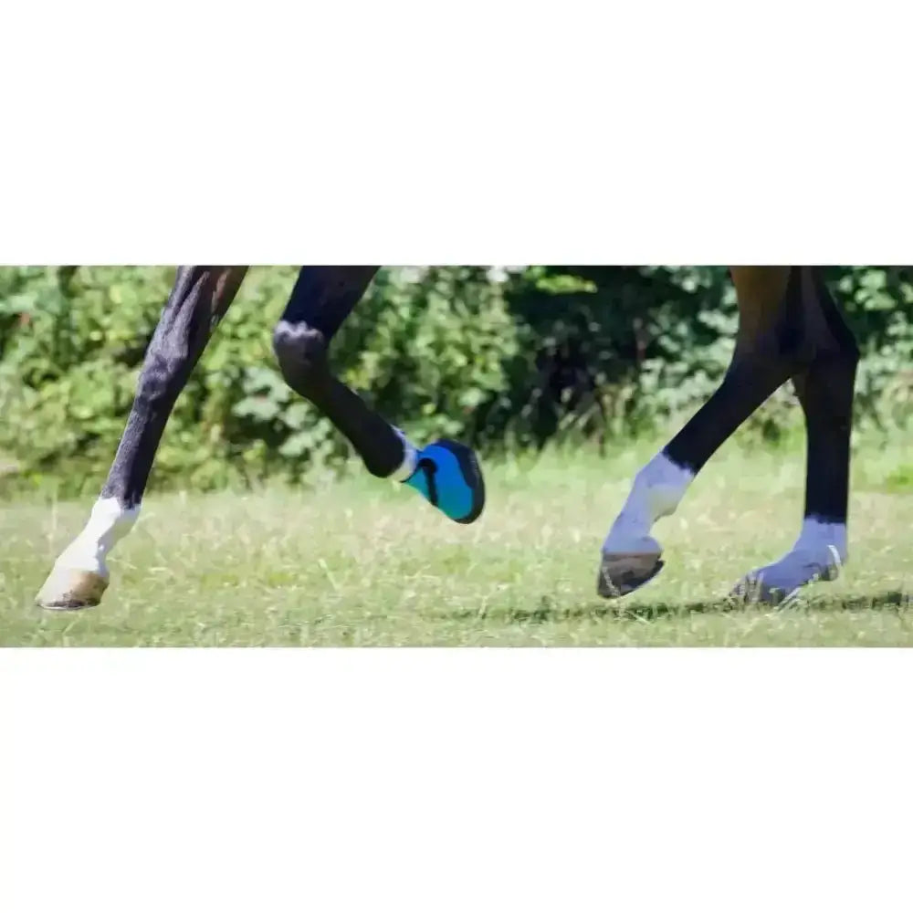 Blue woof wear medical boot on a horse front leg showing a unique close fitting hoof boot design