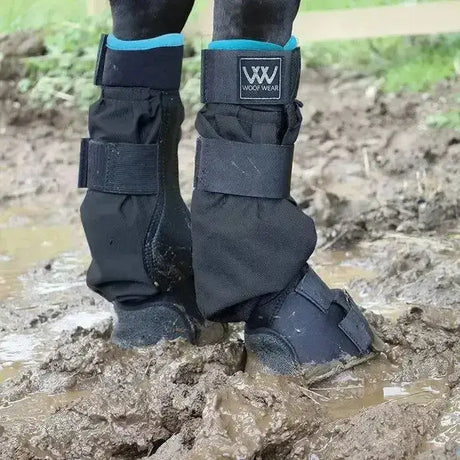 Black woof wear mud fever turnout boots with teal trim and adjustable straps for horse leg protection