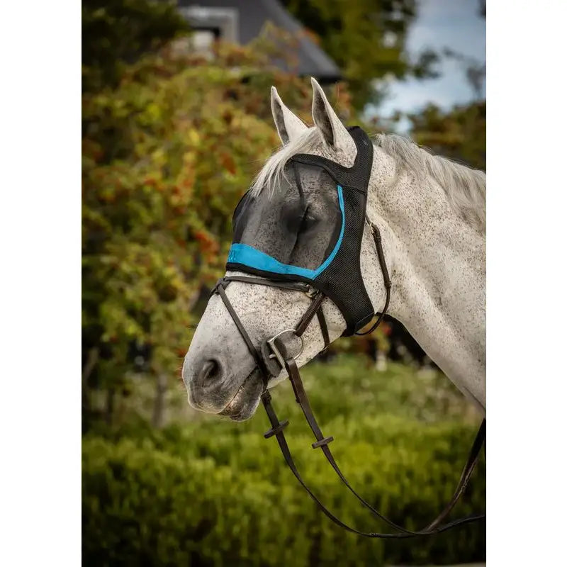 Black and turquoise woof wear ride fly mask protects horse with spacer fabric and mesh netting for clear vision