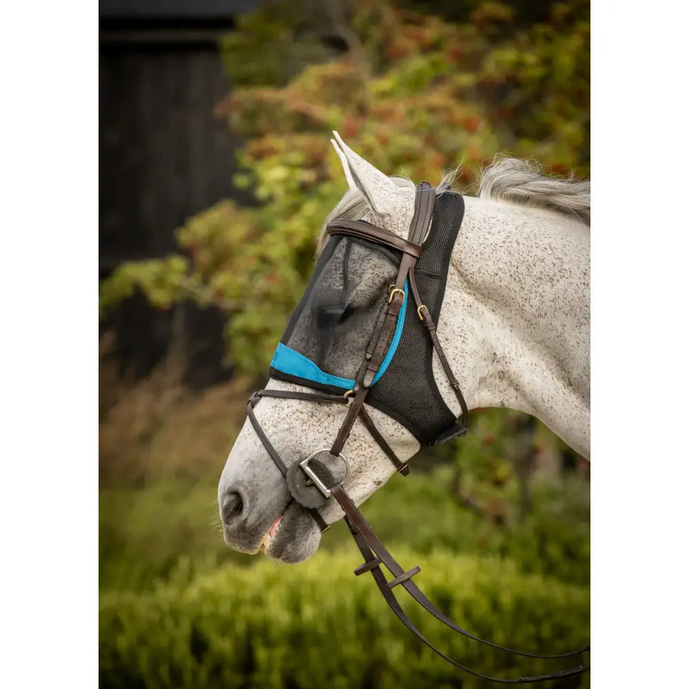 Black mesh fly mask with teal trim and brown leather straps on white horse woof wear ride fly mask protects with spacer fabric