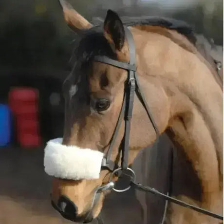 A brown horse wearing a black bridle with a white pure wool noseband sleeve wool noseband covers