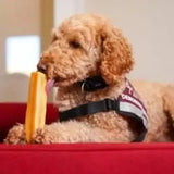 Yakers Apple and Strawberry Medium Yak Milk Dog Treats Dog Treats