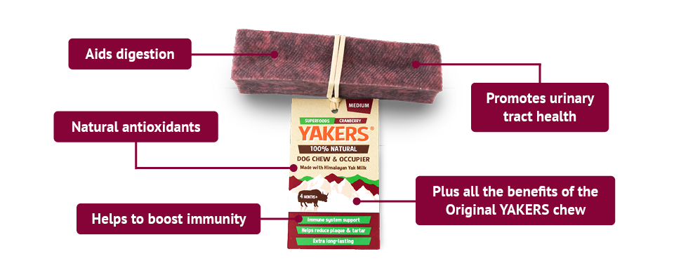 Yakers Dog Chew Cranberry Dog Treats Barnstaple Equestrian Supplies