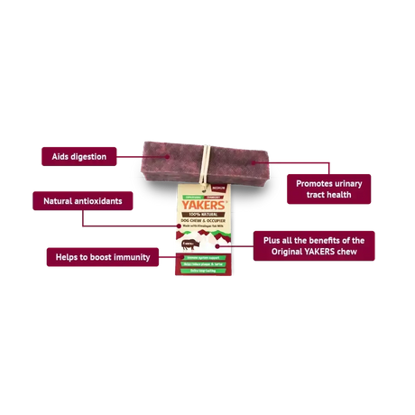 Yakers Dog Chew Cranberry Medium Dog Treats