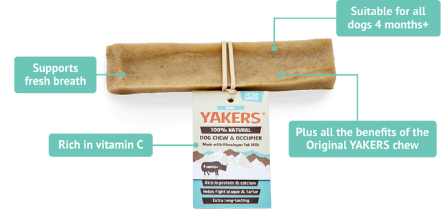 Yakers Dog Chew Mint Dog Treats Barnstaple Equestrian Supplies