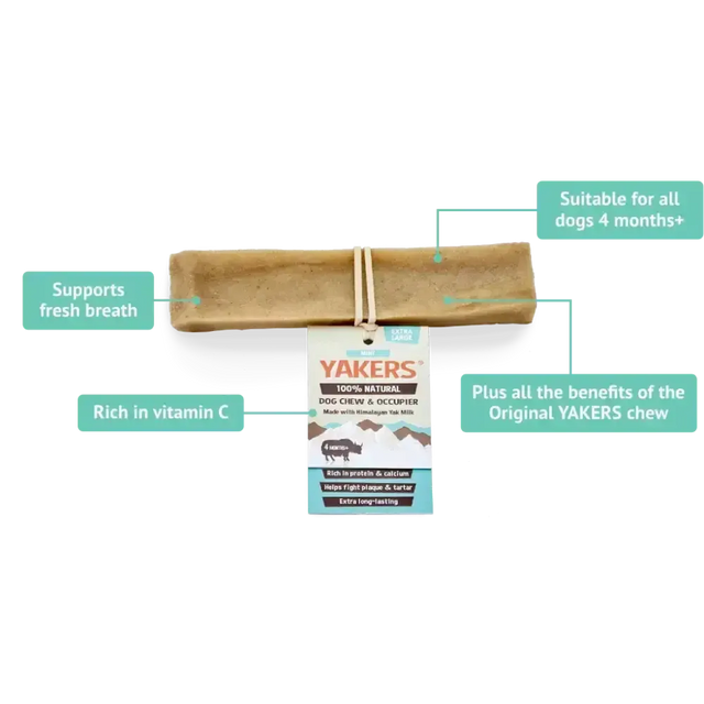 Yakers Dog Chew Mint Medium Dog Treats