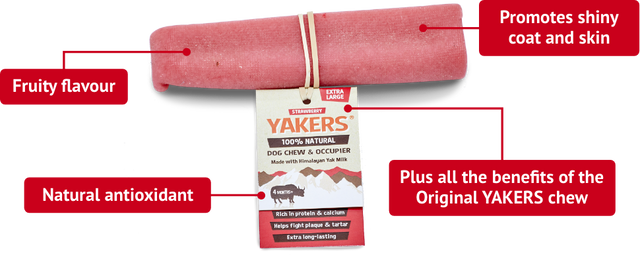 Yakers Dog Chew Strawberry Dog Treats Barnstaple Equestrian Supplies