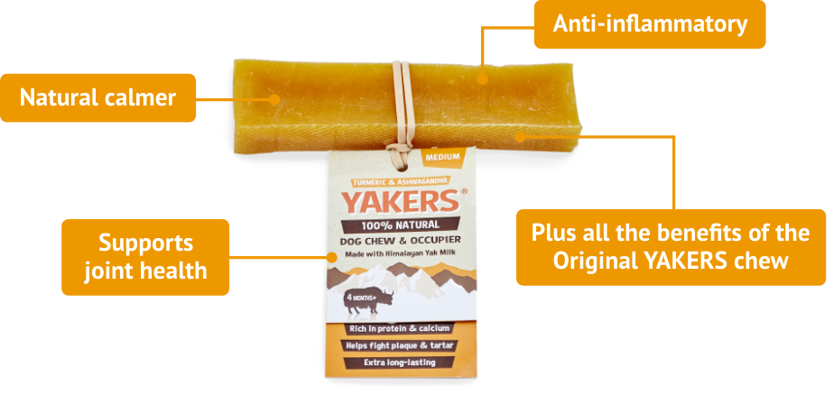 Yakers Dog Chew Turmeric Dog Treats Barnstaple Equestrian Supplies