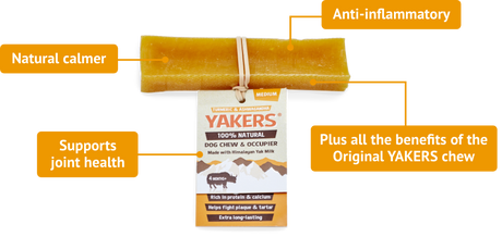 Yakers Dog Chew Turmeric Dog Treats Barnstaple Equestrian Supplies