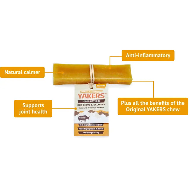 Yellow rectangular yakers dog chew made with himalayan yak milk featuring award-winning turmeric flavour