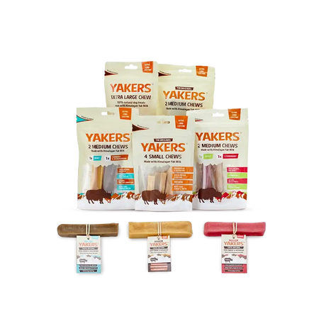 Yakers Mint Flavour & Tumeric Yak Milk Dog Treats Dog Treats Barnstaple Equestrian Supplies