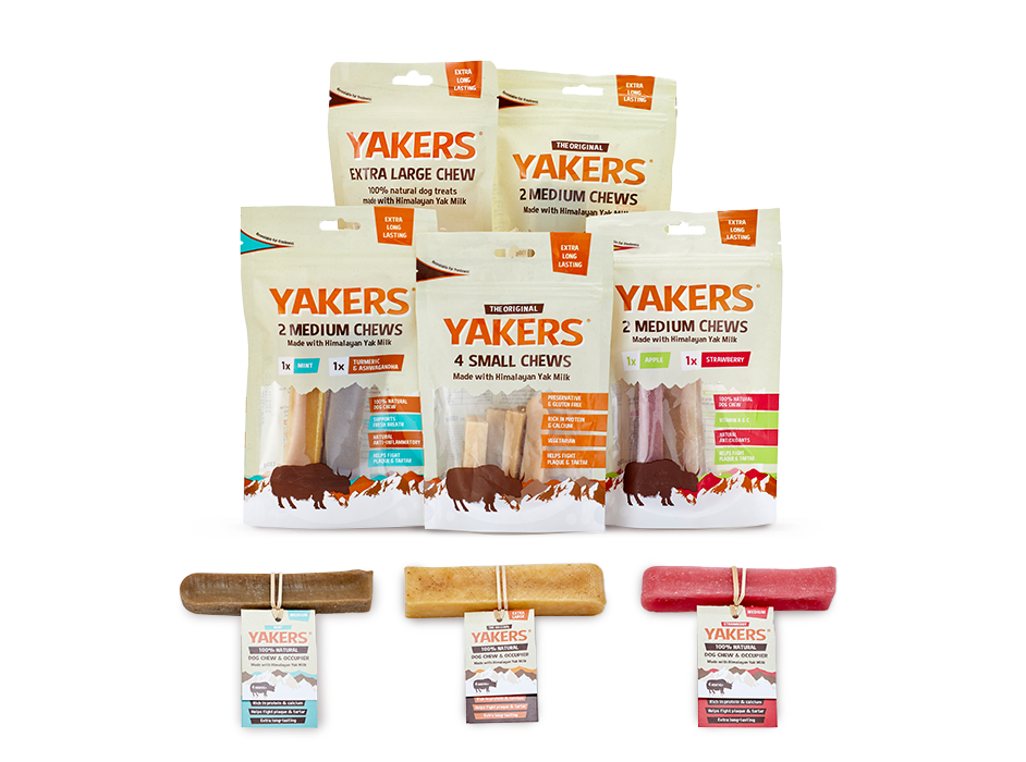 Yakers Mint Flavour & Tumeric Yak Milk Dog Treats