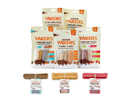 Yakers Mint Flavour & Tumeric Yak Milk Dog Treats