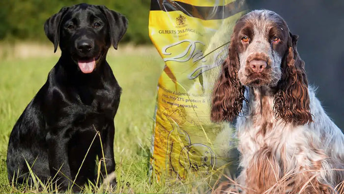 A yellow bag of gilberts & page dog food with a royal crest logo and black-and-white illustrations.