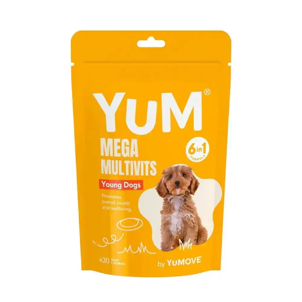 Bright orange pouch of yumove yum multivits young with 30 power tablets and cute brown puppy for multivits young dog